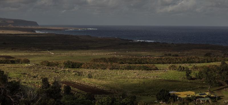 Casa Rapanui Hotell Hanga Roa Exteriör bild